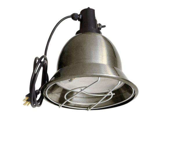 Campana Calefactora para Lechones