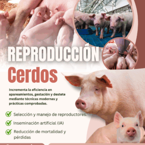 Curso de Reproducción en Cerdos