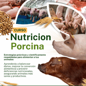Curso de Nutrición Porcina